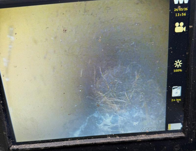 Identifying Root Intrusion with CCTV Surveys