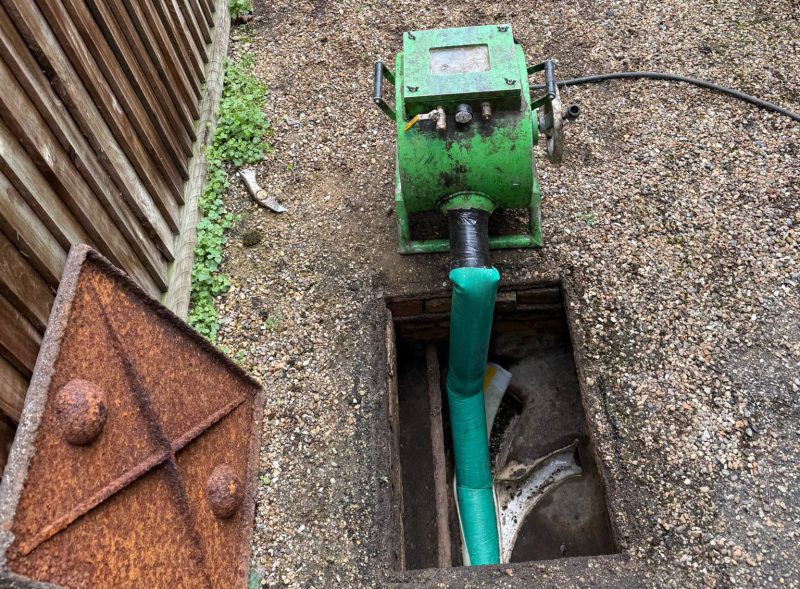 Repairing Damage Caused by Root Intrusion | Drains24